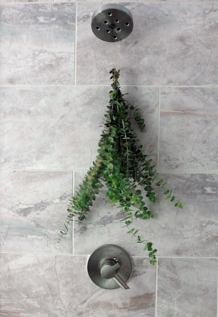 Eucalyptus bouquet in shower